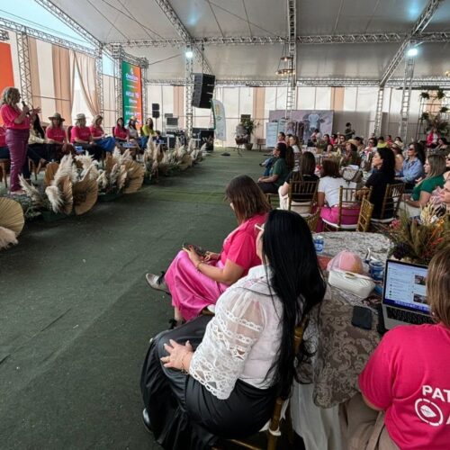 Conselho da Mulher Empresária participa de rodada de negócios para o empreendedorismo feminino no agro