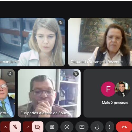 Presidente da Facmat debate duplicação da BR-364 em reunião da Frenlogi com a secretária Nacional de Transportes