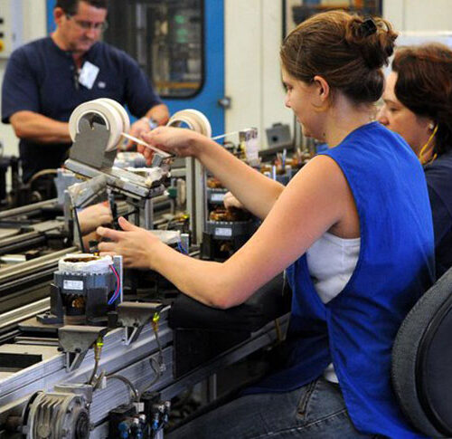 Serviços e comércio concentram 92% das empresas ativas em Mato Grosso, aponta Jucemat